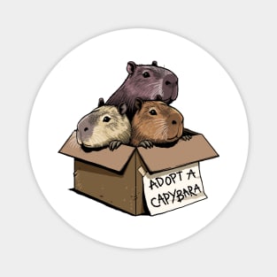 Adopt a Capybara Magnet